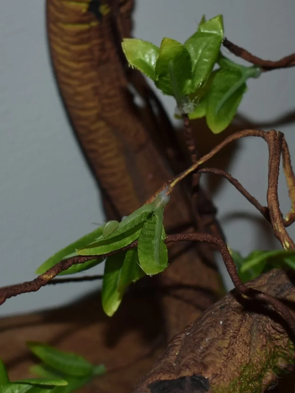 Realistic 6ft Bendable Faux Cottagecore Jungle Vine Decor